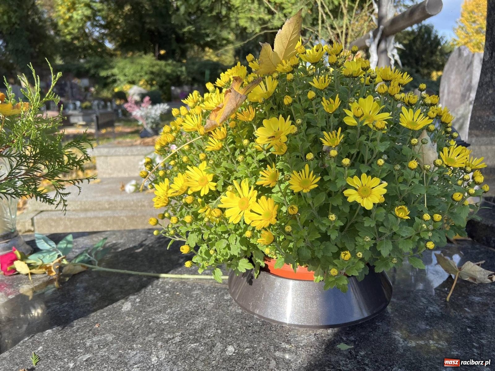 Zdjęcie w galerii na portalu naszraciborz.pl: Jeruzalem przed wspomnieniem Wszystkich Świętych i Zaduszkami wiadomości z regionu