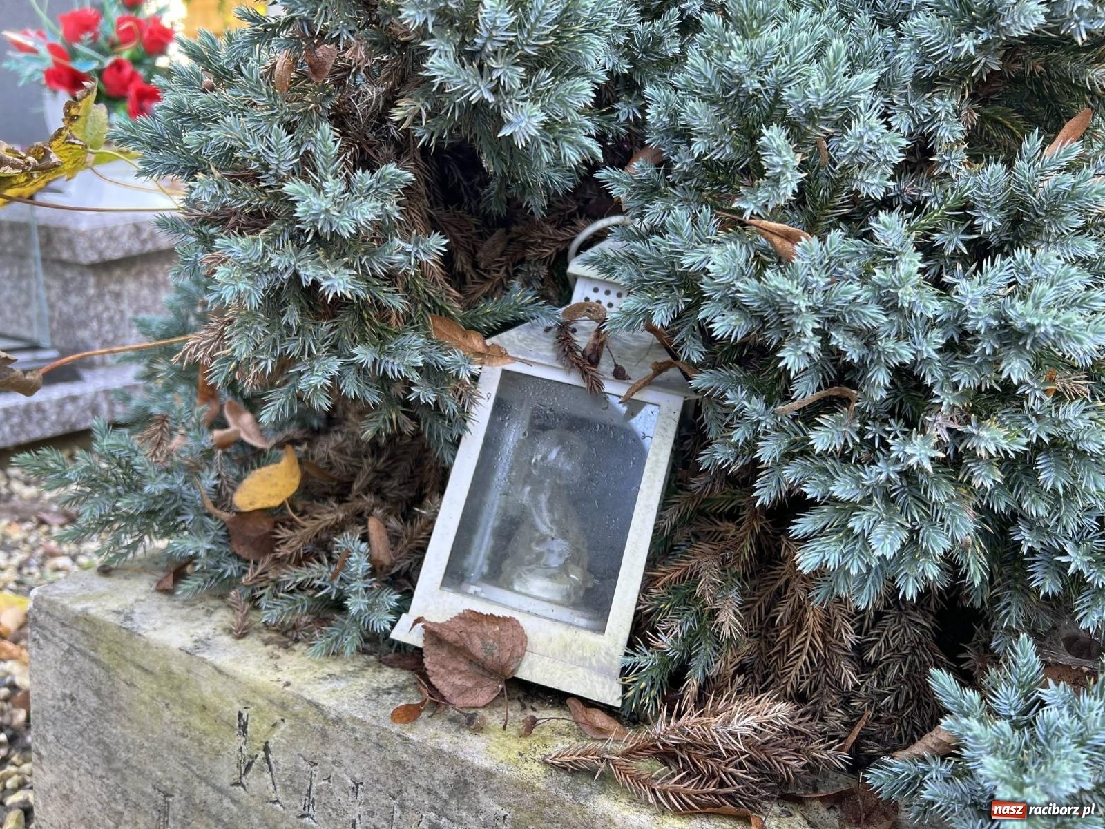 Zdjęcie w galerii na portalu naszraciborz.pl: Jeruzalem przed wspomnieniem Wszystkich Świętych i Zaduszkami wiadomości z regionu