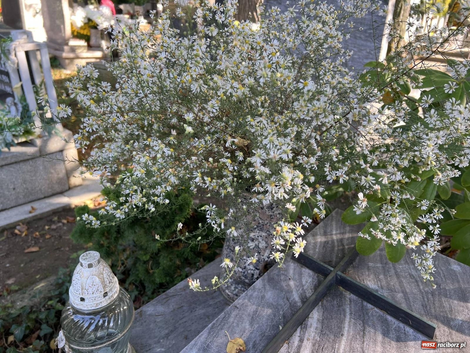 Zdjęcie w galerii na portalu naszraciborz.pl: Jeruzalem przed wspomnieniem Wszystkich Świętych i Zaduszkami wiadomości z regionu