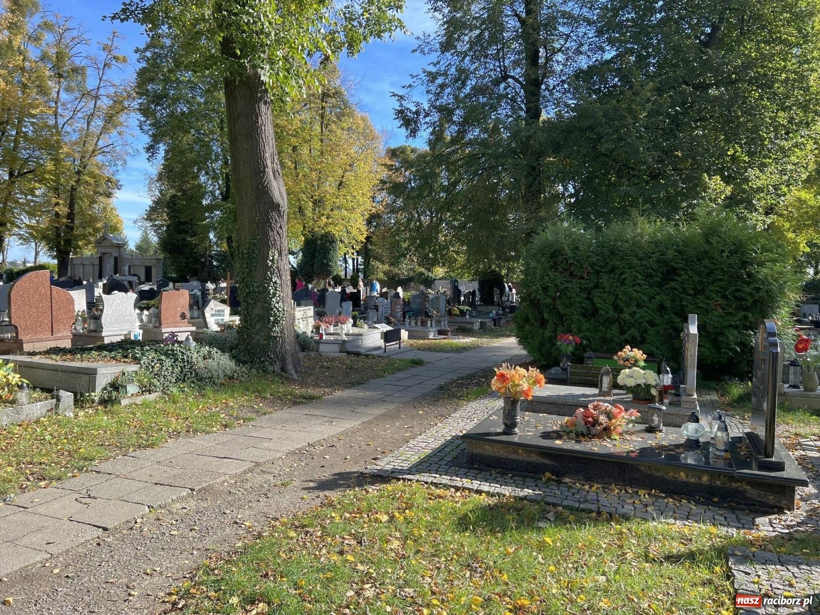 Zdjęcie w galerii na portalu naszraciborz.pl: Jeruzalem przed wspomnieniem Wszystkich Świętych i Zaduszkami wiadomości z regionu