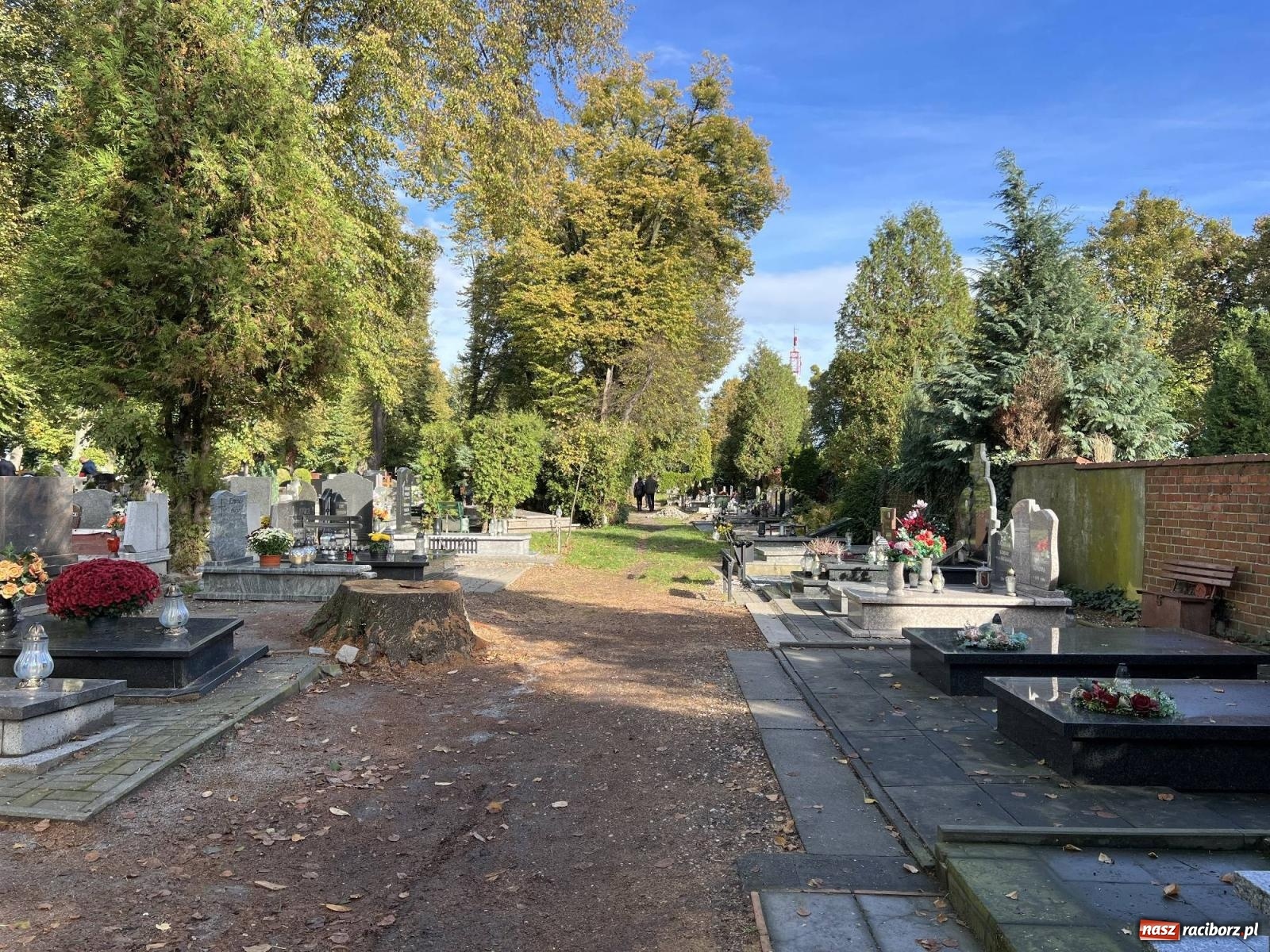 Zdjęcie w galerii na portalu naszraciborz.pl: Jeruzalem przed wspomnieniem Wszystkich Świętych i Zaduszkami wiadomości z regionu