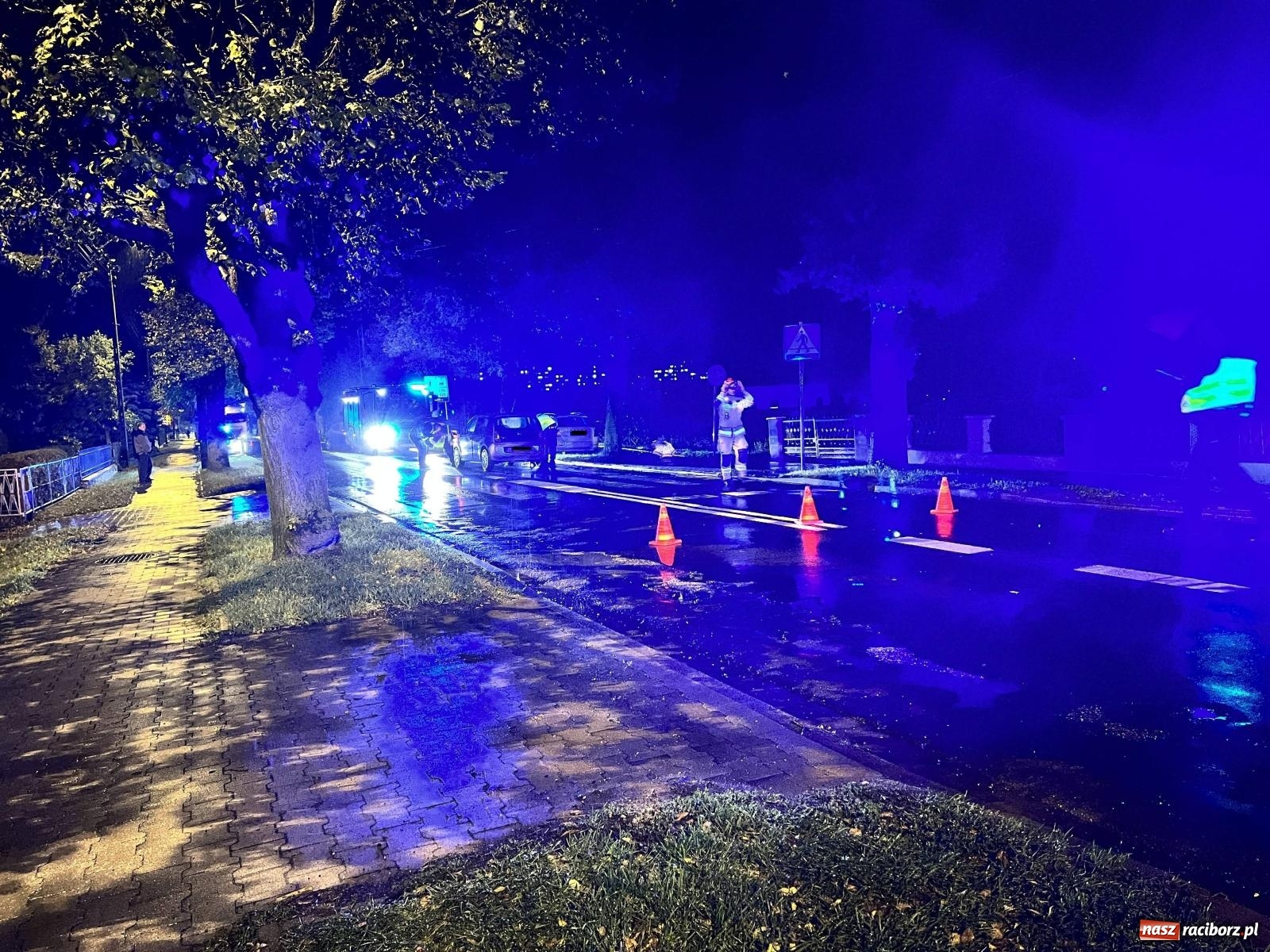 Zdjęcie w galerii na portalu naszraciborz.pl: Potrącenie na Opawskiej. 36-latka w szpitalu [FOTO] wiadomości z regionu