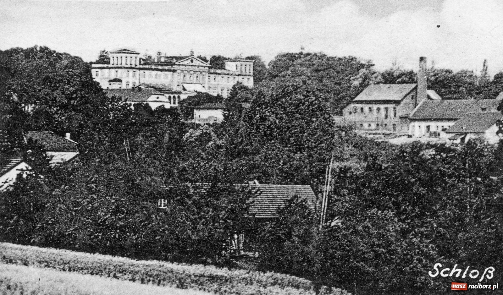 Zdjęcie w galerii na portalu naszraciborz.pl: Park jak za czasów jaśniepaństwa. W Sławikowie powstanie zielona perełka wiadomości z regionu