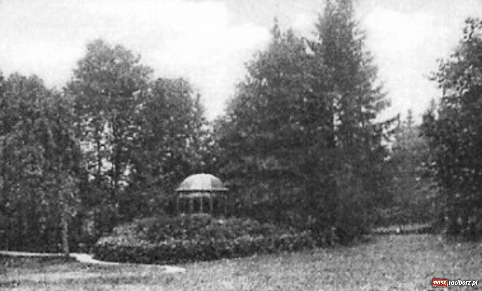 Zdjęcie w galerii na portalu naszraciborz.pl: Park jak za czasów jaśniepaństwa. W Sławikowie powstanie zielona perełka wiadomości z regionu