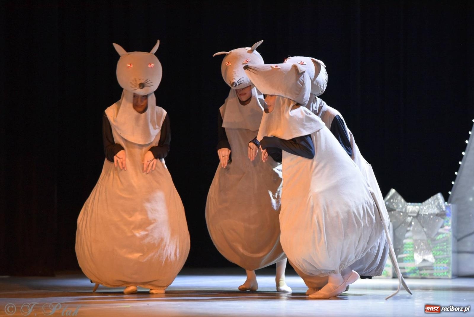 Zdjęcie w galerii na portalu naszraciborz.pl: Dziadek do orzechów - familijny spektakl na deskach RCK [FOTO i WIDEO] wiadomości z regionu