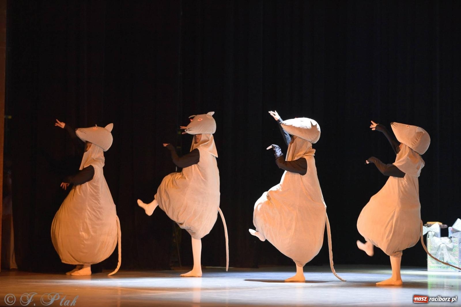 Zdjęcie w galerii na portalu naszraciborz.pl: Dziadek do orzechów - familijny spektakl na deskach RCK [FOTO i WIDEO] wiadomości z regionu