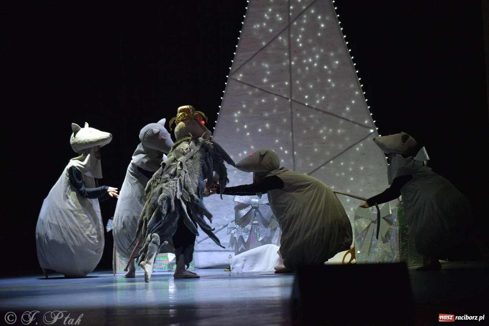 Zdjęcie w galerii na portalu naszraciborz.pl: Dziadek do orzechów - familijny spektakl na deskach RCK [FOTO i WIDEO] wiadomości z regionu