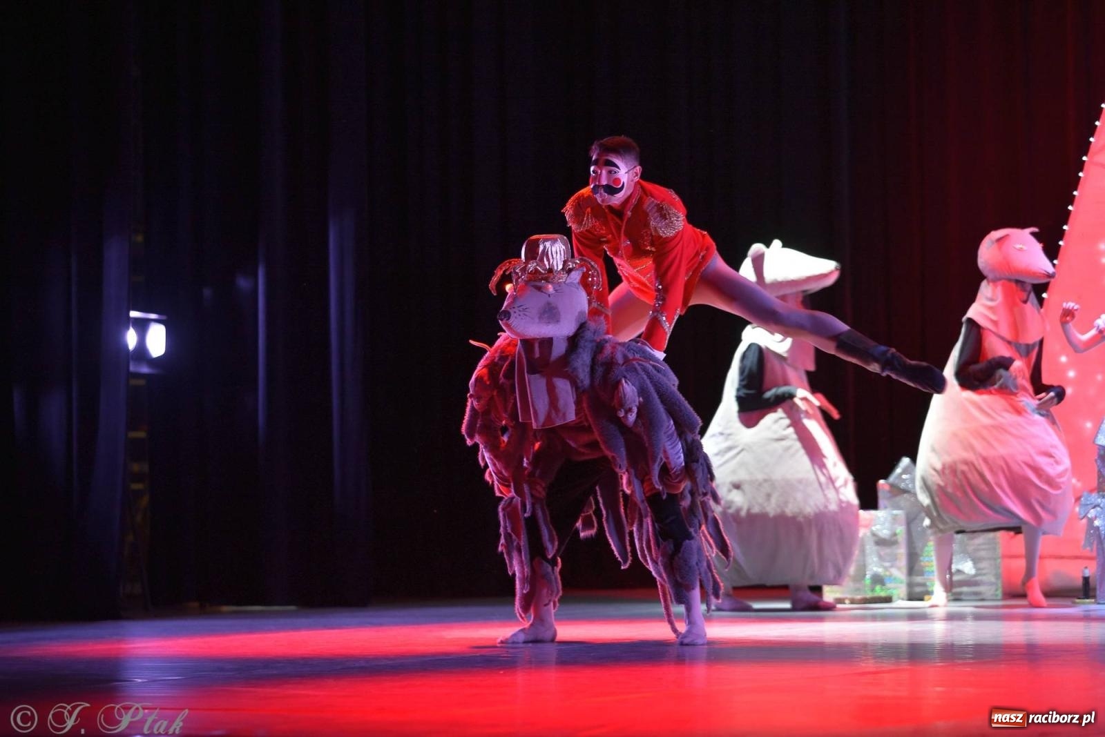 Zdjęcie w galerii na portalu naszraciborz.pl: Dziadek do orzechów - familijny spektakl na deskach RCK [FOTO i WIDEO] wiadomości z regionu