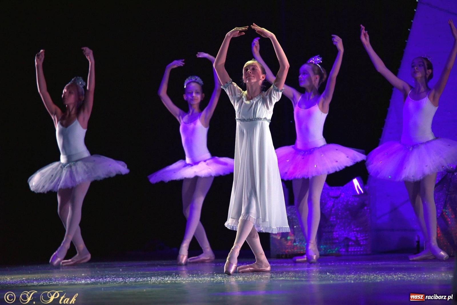 Zdjęcie w galerii na portalu naszraciborz.pl: Dziadek do orzechów - familijny spektakl na deskach RCK [FOTO i WIDEO] wiadomości z regionu