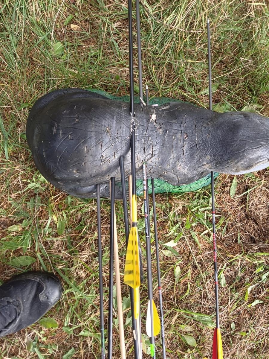 Zdjęcie w galerii na portalu naszraciborz.pl: Strzelcy z Raciborza z sukcesem na zawodach łuczniczych wiadomości z regionu