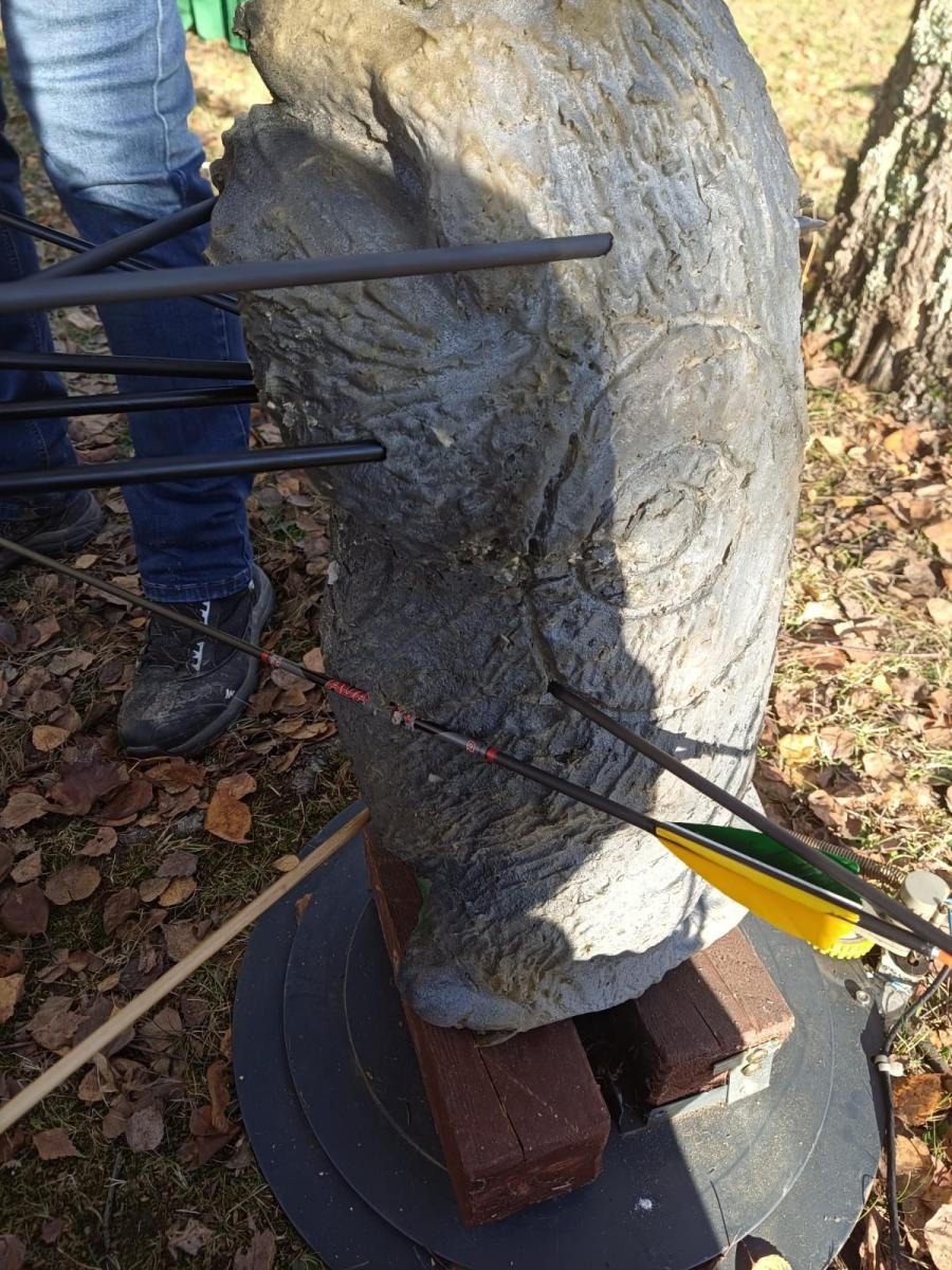 Zdjęcie w galerii na portalu naszraciborz.pl: Strzelcy z Raciborza z sukcesem na zawodach łuczniczych wiadomości z regionu