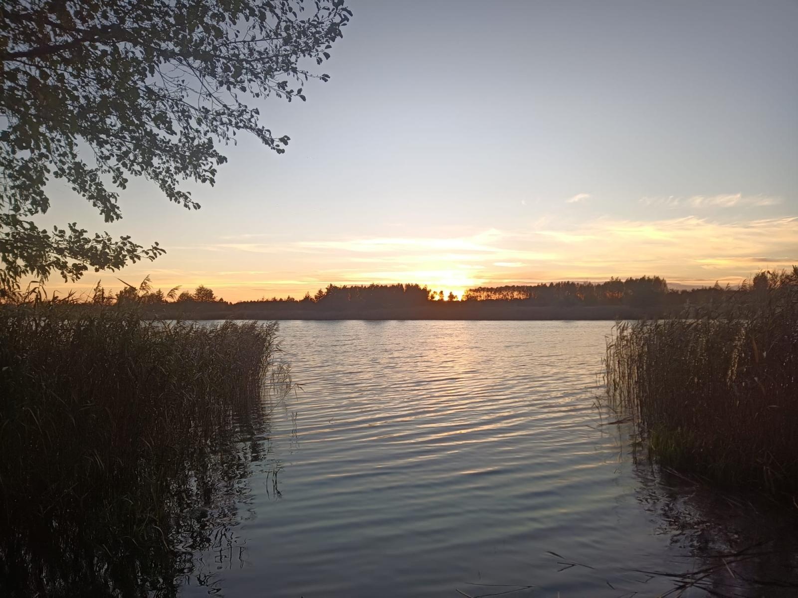 Zdjęcie w galerii na portalu naszraciborz.pl: Strzelcy z Raciborza z sukcesem na zawodach łuczniczych wiadomości z regionu