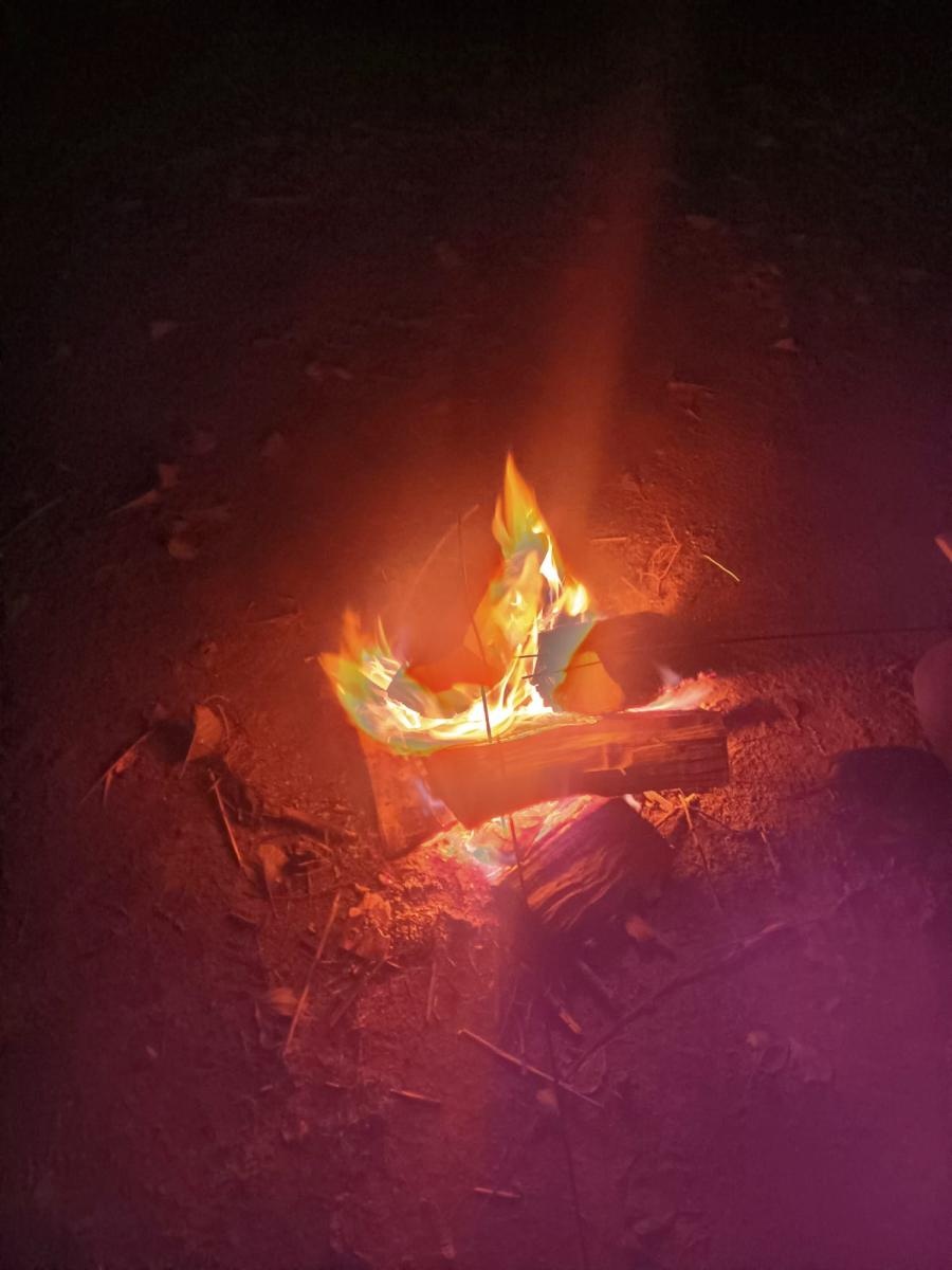 Zdjęcie w galerii na portalu naszraciborz.pl: Strzelcy z Raciborza z sukcesem na zawodach łuczniczych wiadomości z regionu