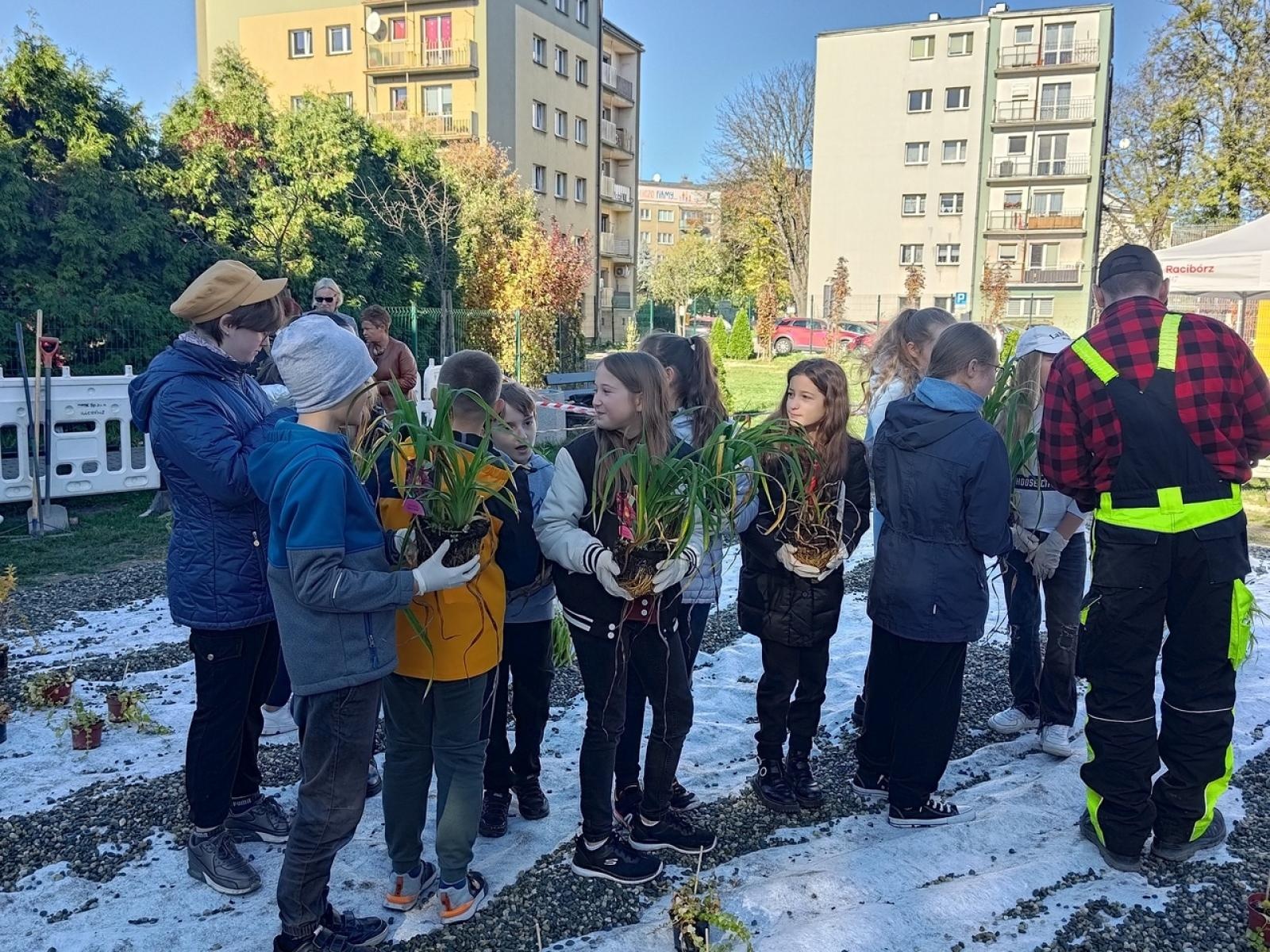 Zdjęcie w galerii na portalu naszraciborz.pl: W Raciborzu powstał ogród deszczowy przy SP13 wiadomości z regionu