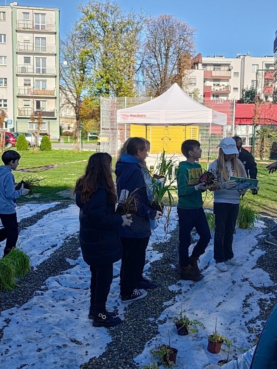 Zdjęcie w galerii na portalu naszraciborz.pl: W Raciborzu powstał ogród deszczowy przy SP13 wiadomości z regionu