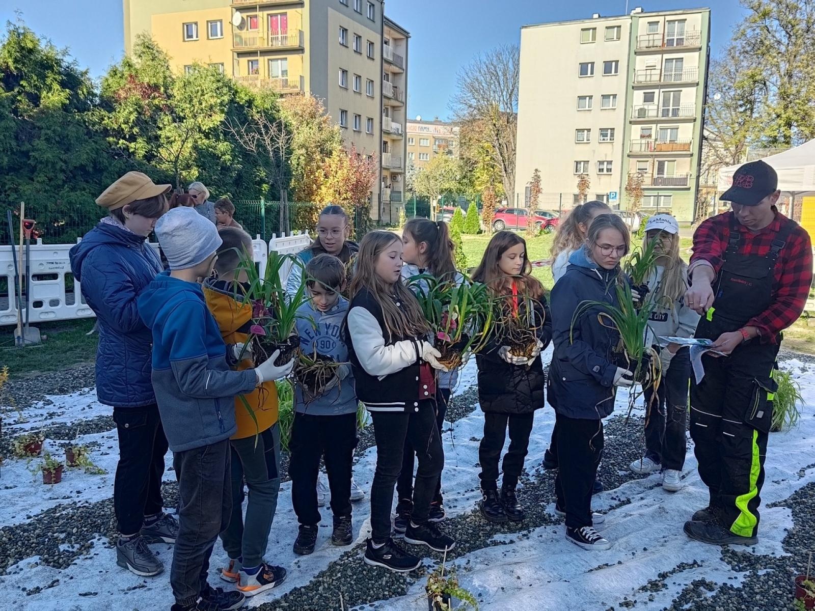 Zdjęcie w galerii na portalu naszraciborz.pl: W Raciborzu powstał ogród deszczowy przy SP13 wiadomości z regionu