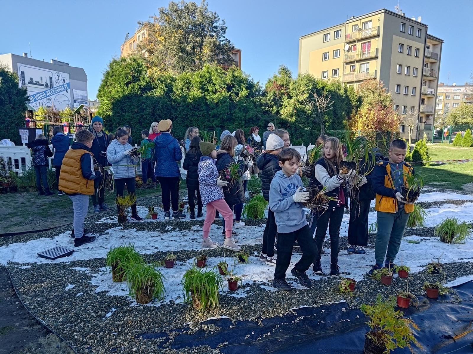 Zdjęcie w galerii na portalu naszraciborz.pl: W Raciborzu powstał ogród deszczowy przy SP13 wiadomości z regionu