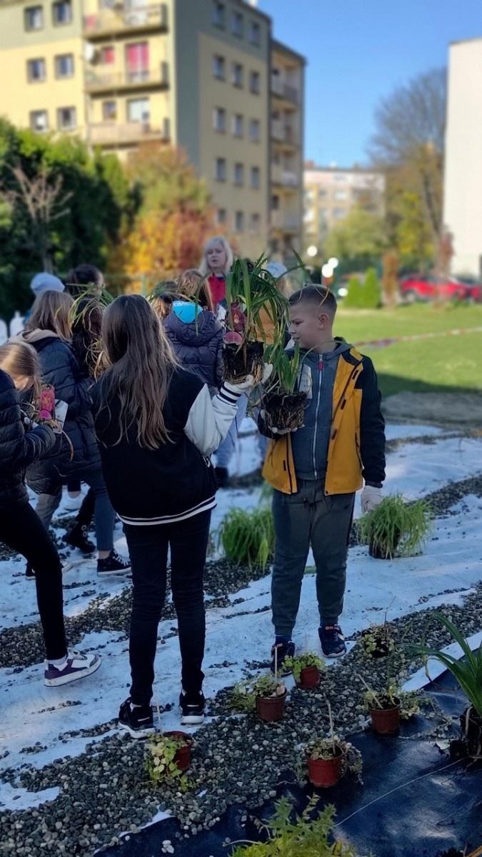 Zdjęcie w galerii na portalu naszraciborz.pl: W Raciborzu powstał ogród deszczowy przy SP13 wiadomości z regionu