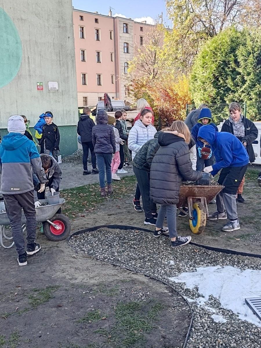 Zdjęcie w galerii na portalu naszraciborz.pl: W Raciborzu powstał ogród deszczowy przy SP13 wiadomości z regionu