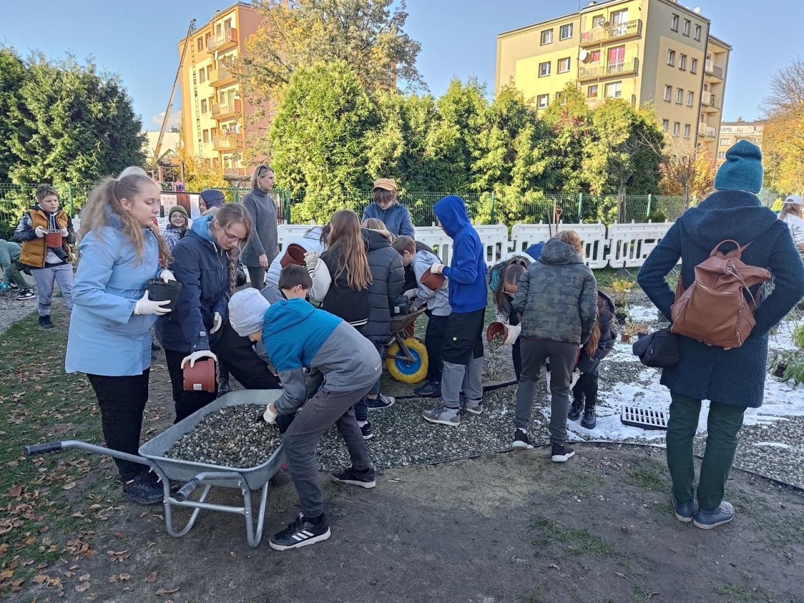 Zdjęcie w galerii na portalu naszraciborz.pl: W Raciborzu powstał ogród deszczowy przy SP13 wiadomości z regionu