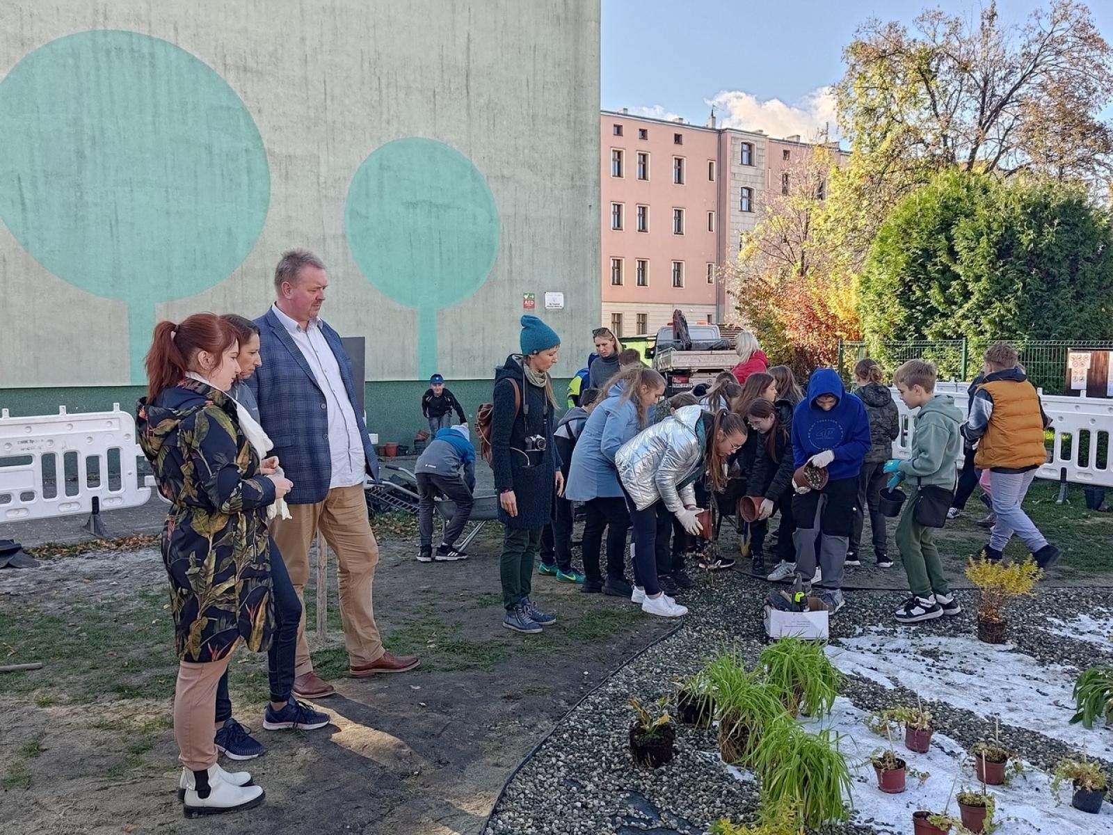 Zdjęcie w galerii na portalu naszraciborz.pl: W Raciborzu powstał ogród deszczowy przy SP13 wiadomości z regionu