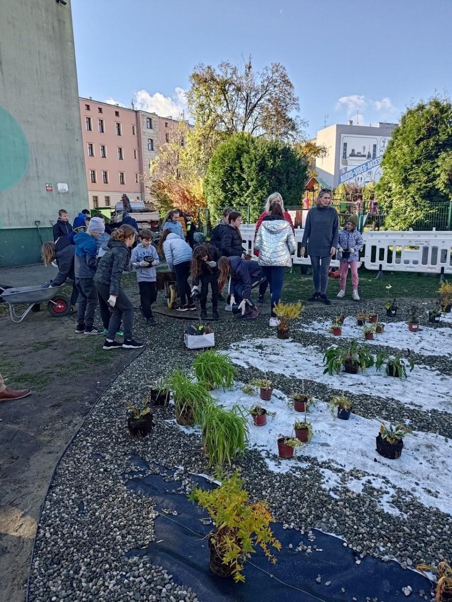 Zdjęcie w galerii na portalu naszraciborz.pl: W Raciborzu powstał ogród deszczowy przy SP13 wiadomości z regionu