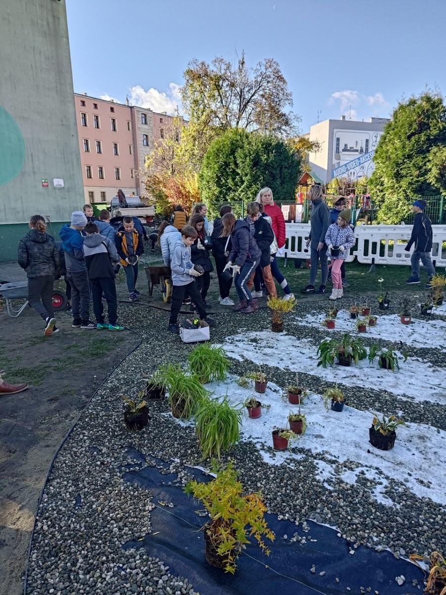 Zdjęcie w galerii na portalu naszraciborz.pl: W Raciborzu powstał ogród deszczowy przy SP13 wiadomości z regionu
