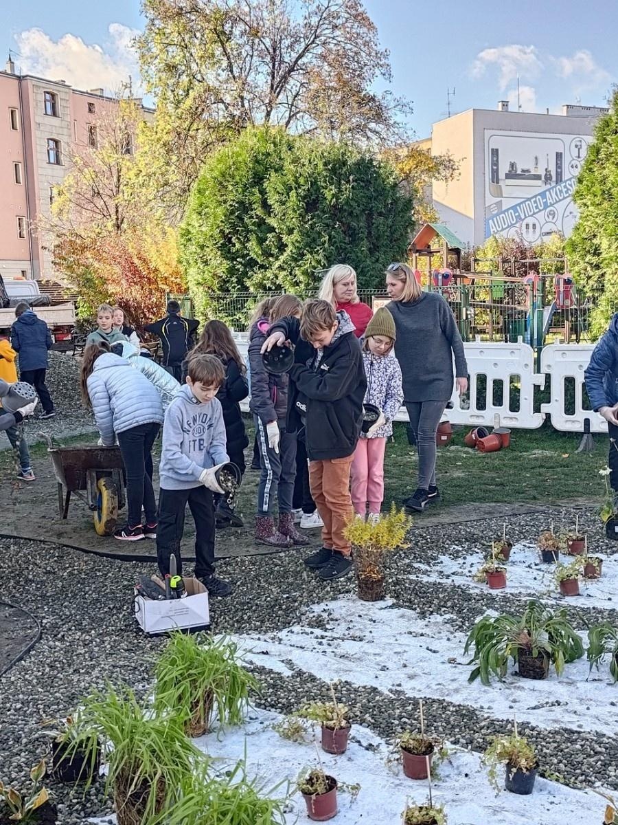 Zdjęcie w galerii na portalu naszraciborz.pl: W Raciborzu powstał ogród deszczowy przy SP13 wiadomości z regionu