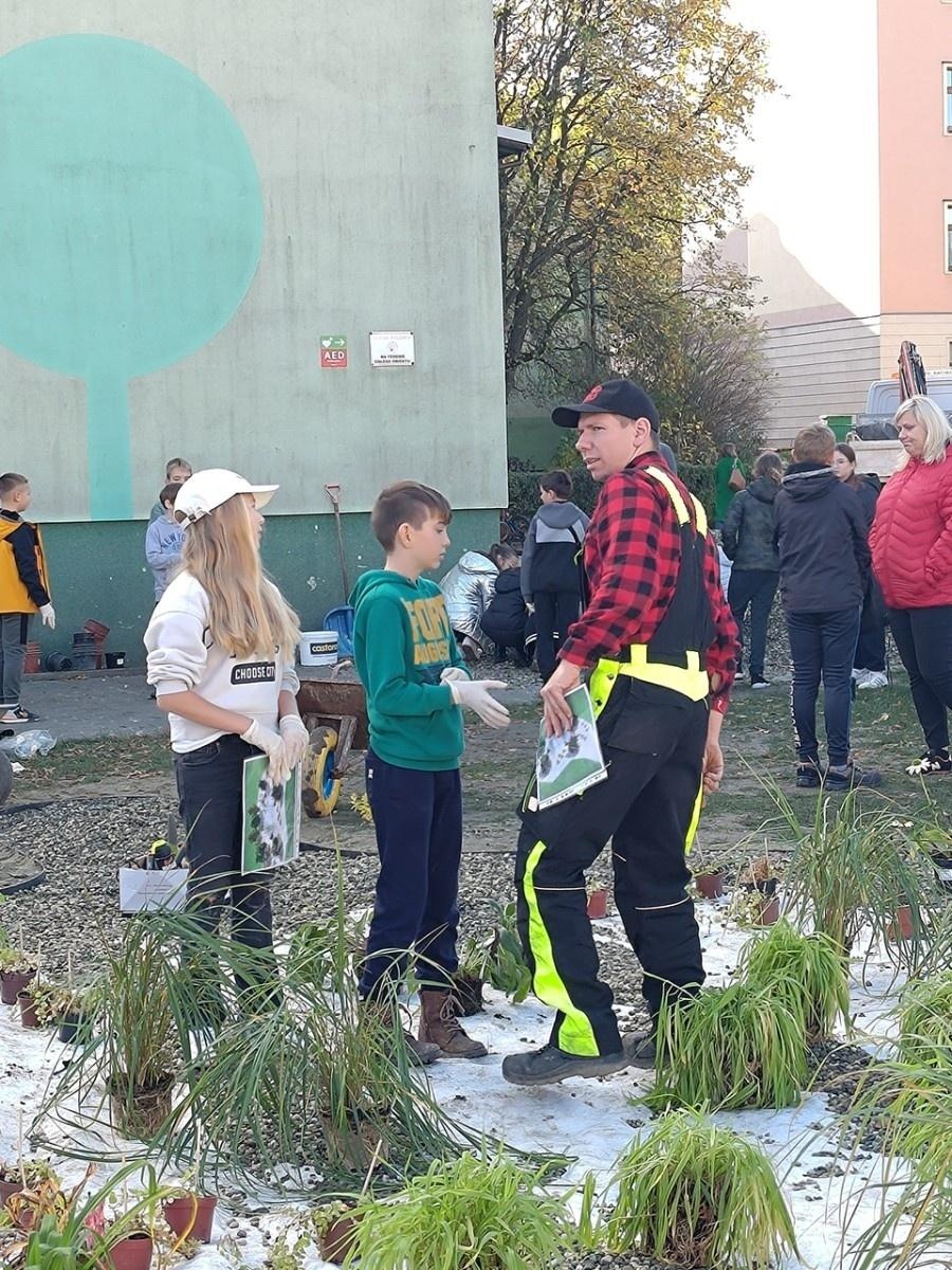 Zdjęcie w galerii na portalu naszraciborz.pl: W Raciborzu powstał ogród deszczowy przy SP13 wiadomości z regionu
