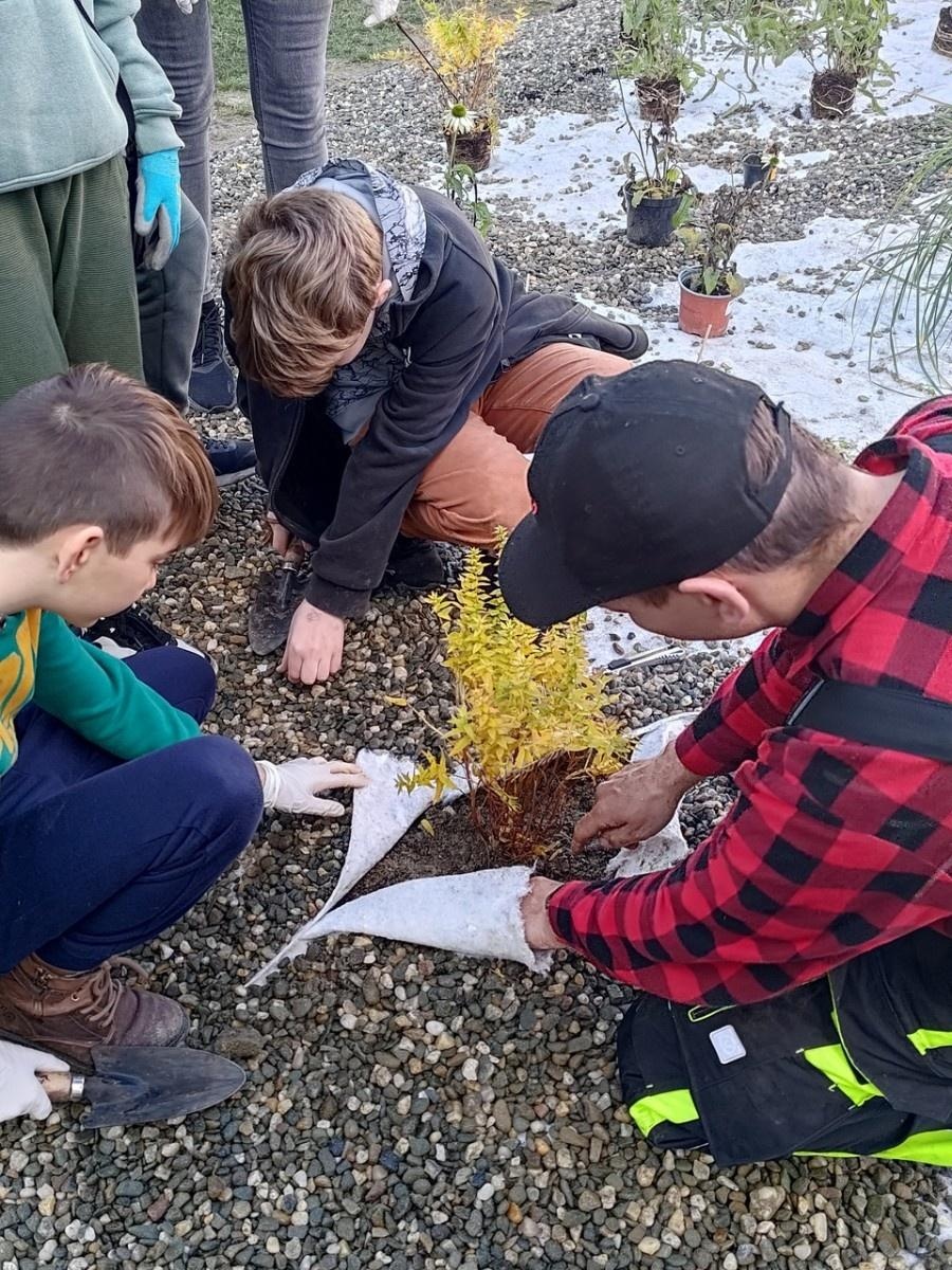 Zdjęcie w galerii na portalu naszraciborz.pl: W Raciborzu powstał ogród deszczowy przy SP13 wiadomości z regionu