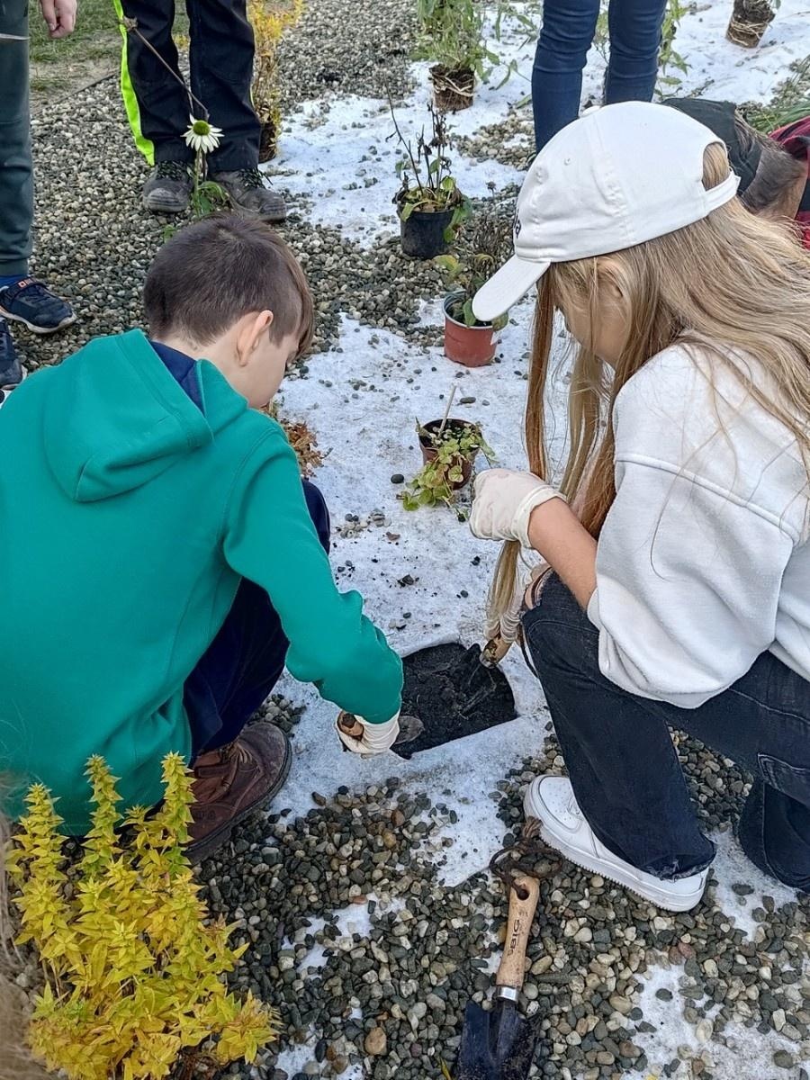 Zdjęcie w galerii na portalu naszraciborz.pl: W Raciborzu powstał ogród deszczowy przy SP13 wiadomości z regionu