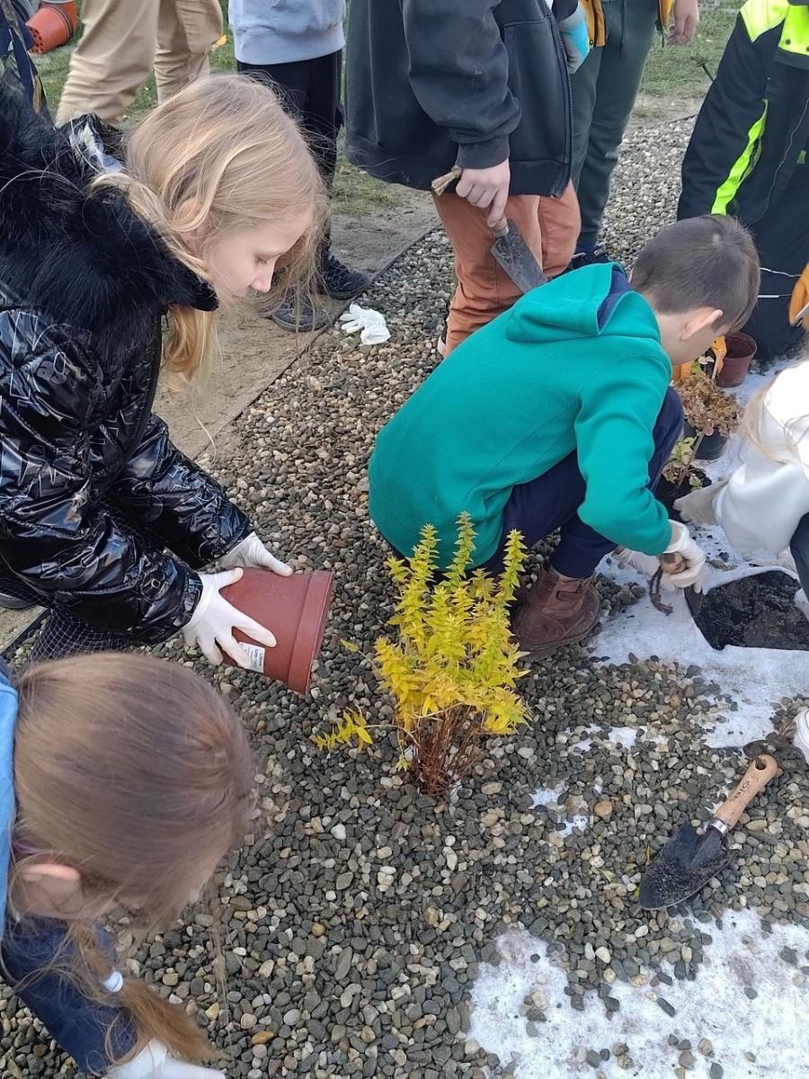 Zdjęcie w galerii na portalu naszraciborz.pl: W Raciborzu powstał ogród deszczowy przy SP13 wiadomości z regionu