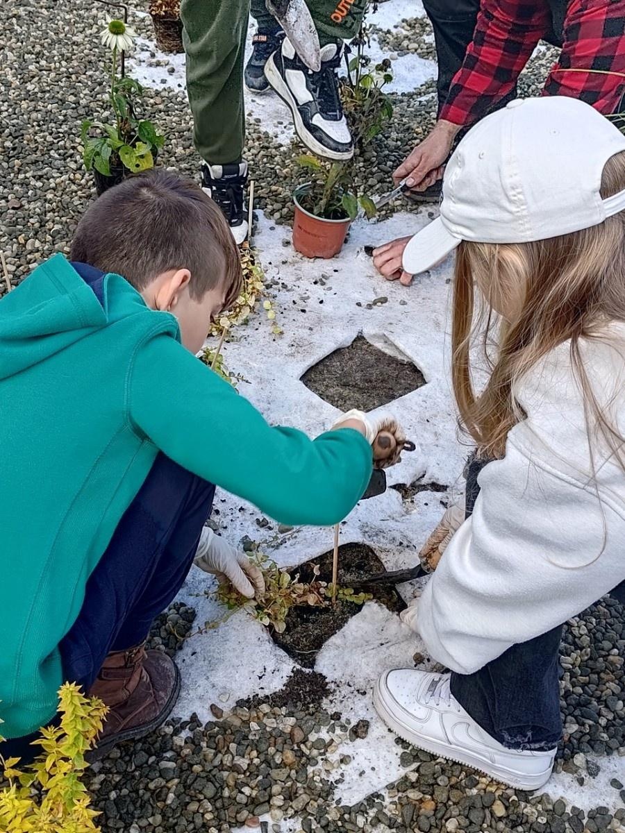Zdjęcie w galerii na portalu naszraciborz.pl: W Raciborzu powstał ogród deszczowy przy SP13 wiadomości z regionu