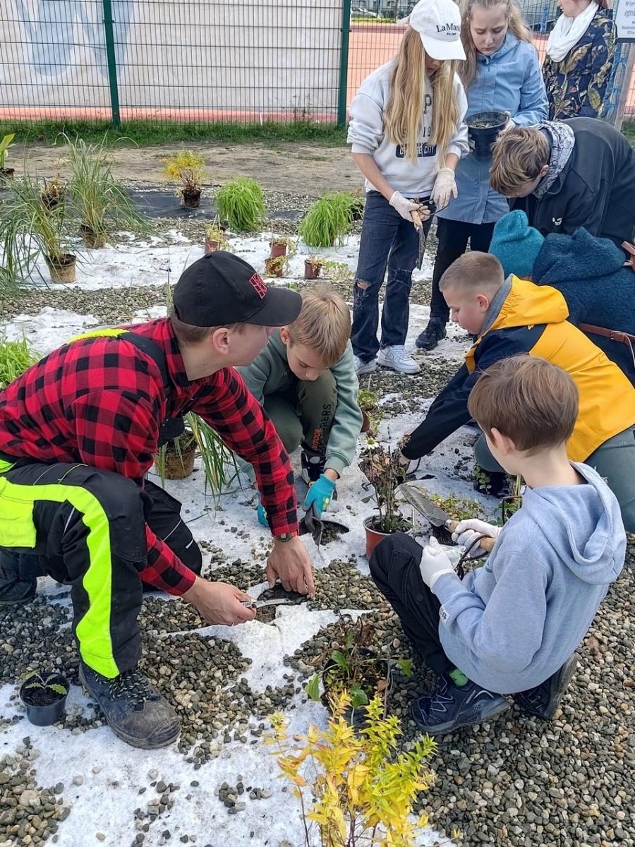 Zdjęcie w galerii na portalu naszraciborz.pl: W Raciborzu powstał ogród deszczowy przy SP13 wiadomości z regionu