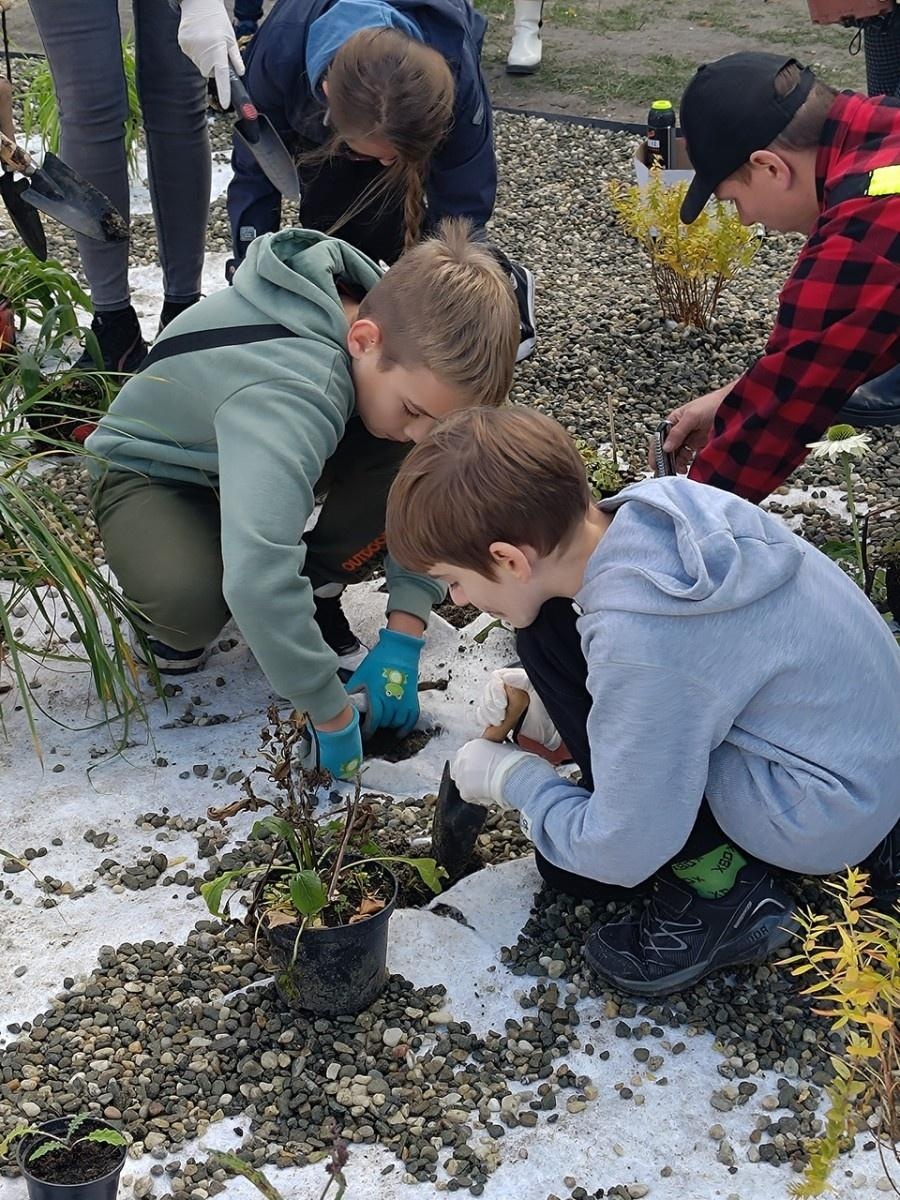 Zdjęcie w galerii na portalu naszraciborz.pl: W Raciborzu powstał ogród deszczowy przy SP13 wiadomości z regionu