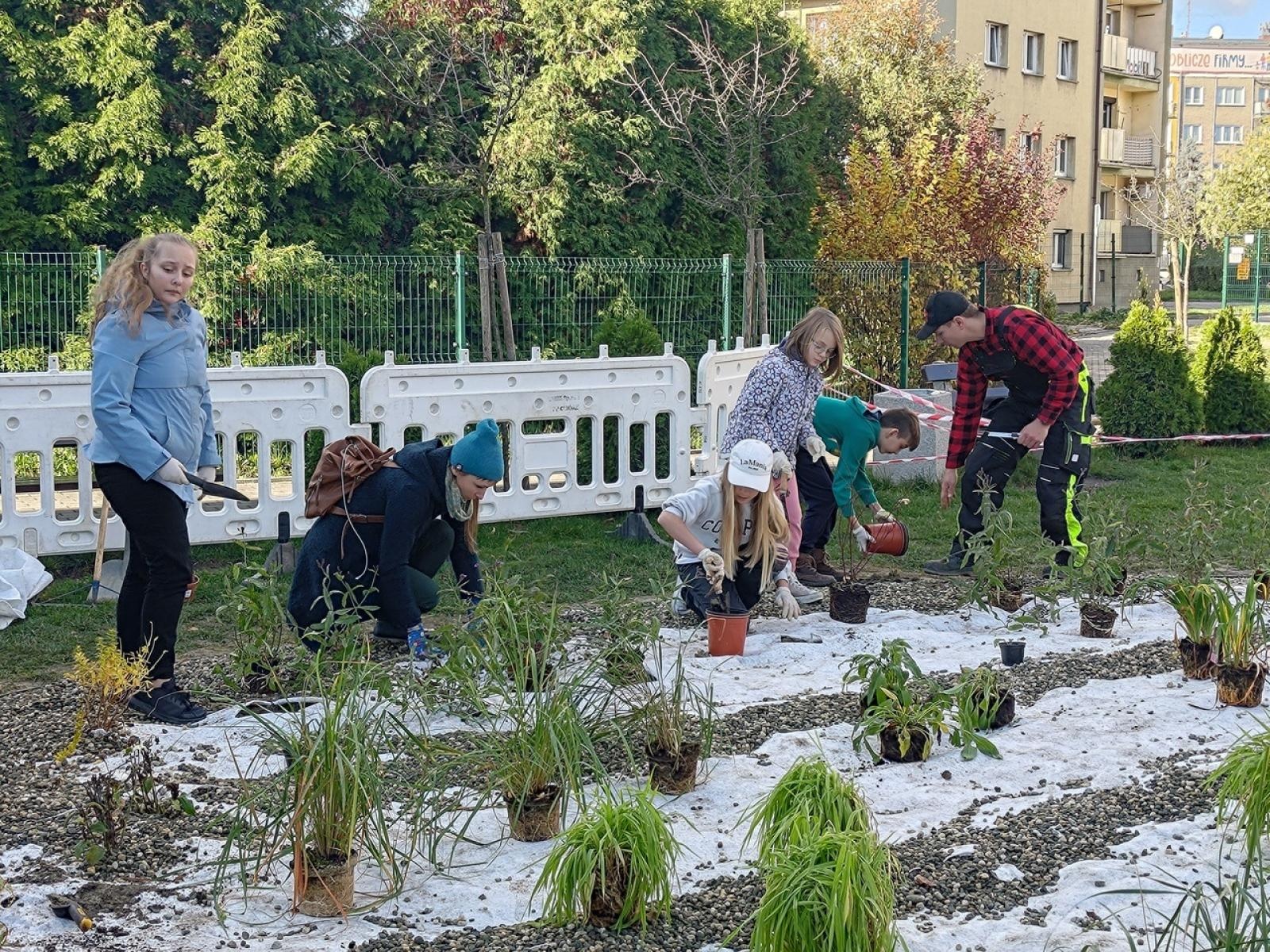 Zdjęcie w galerii na portalu naszraciborz.pl: W Raciborzu powstał ogród deszczowy przy SP13 wiadomości z regionu