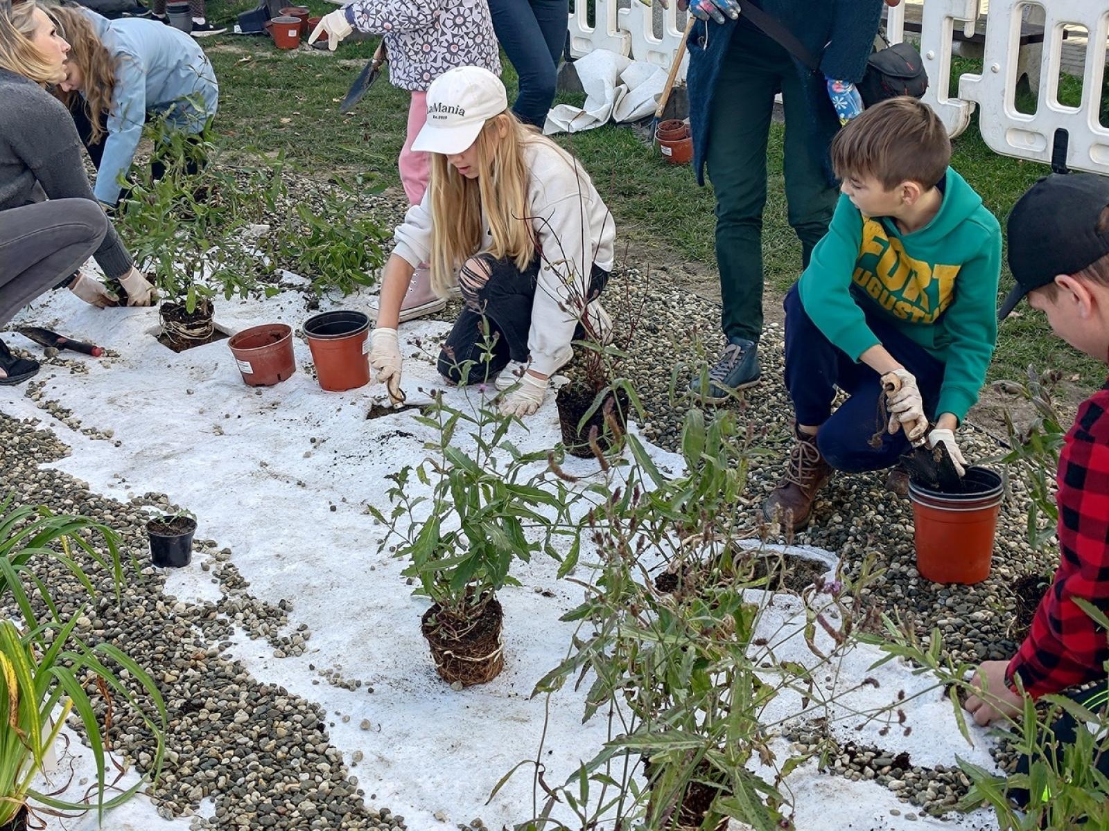 Zdjęcie w galerii na portalu naszraciborz.pl: W Raciborzu powstał ogród deszczowy przy SP13 wiadomości z regionu