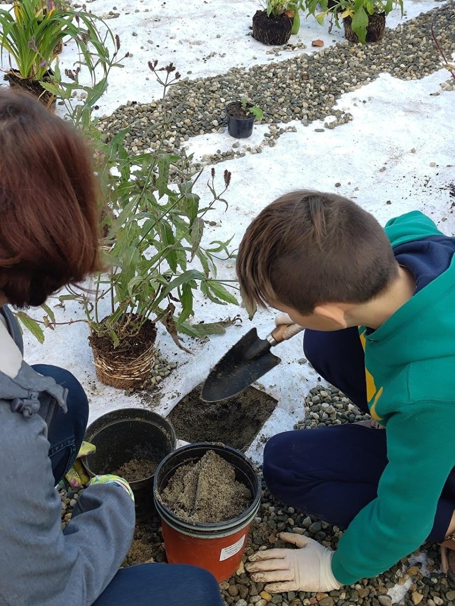 Zdjęcie w galerii na portalu naszraciborz.pl: W Raciborzu powstał ogród deszczowy przy SP13 wiadomości z regionu