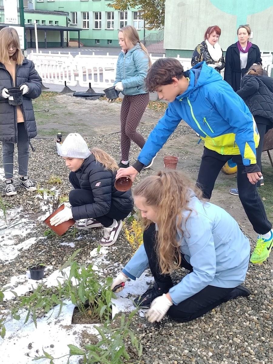 Zdjęcie w galerii na portalu naszraciborz.pl: W Raciborzu powstał ogród deszczowy przy SP13 wiadomości z regionu