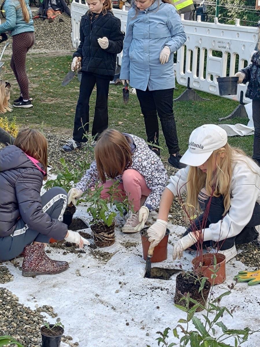 Zdjęcie w galerii na portalu naszraciborz.pl: W Raciborzu powstał ogród deszczowy przy SP13 wiadomości z regionu