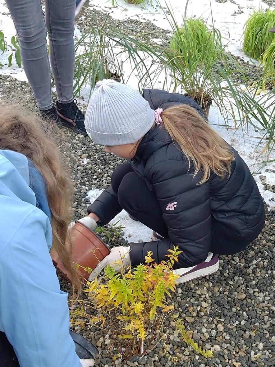 Zdjęcie w galerii na portalu naszraciborz.pl: W Raciborzu powstał ogród deszczowy przy SP13 wiadomości z regionu
