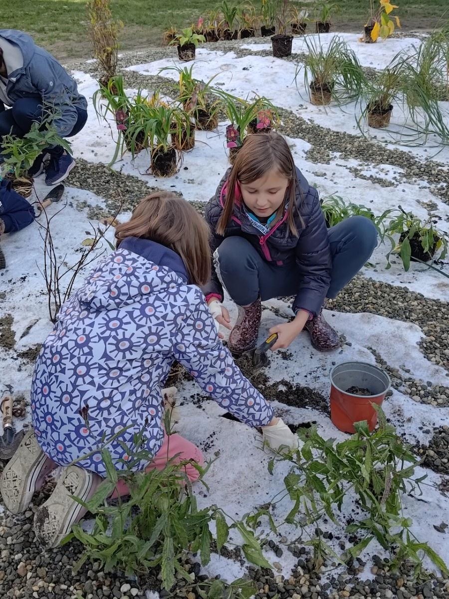 Zdjęcie w galerii na portalu naszraciborz.pl: W Raciborzu powstał ogród deszczowy przy SP13 wiadomości z regionu