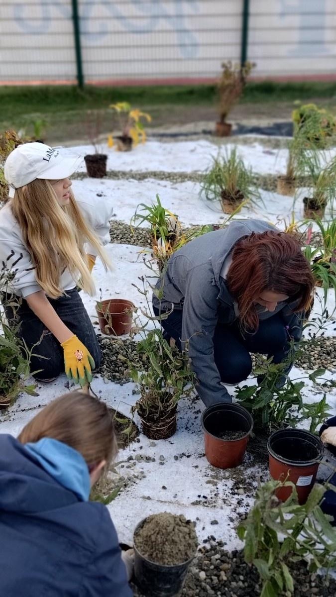 Zdjęcie w galerii na portalu naszraciborz.pl: W Raciborzu powstał ogród deszczowy przy SP13 wiadomości z regionu