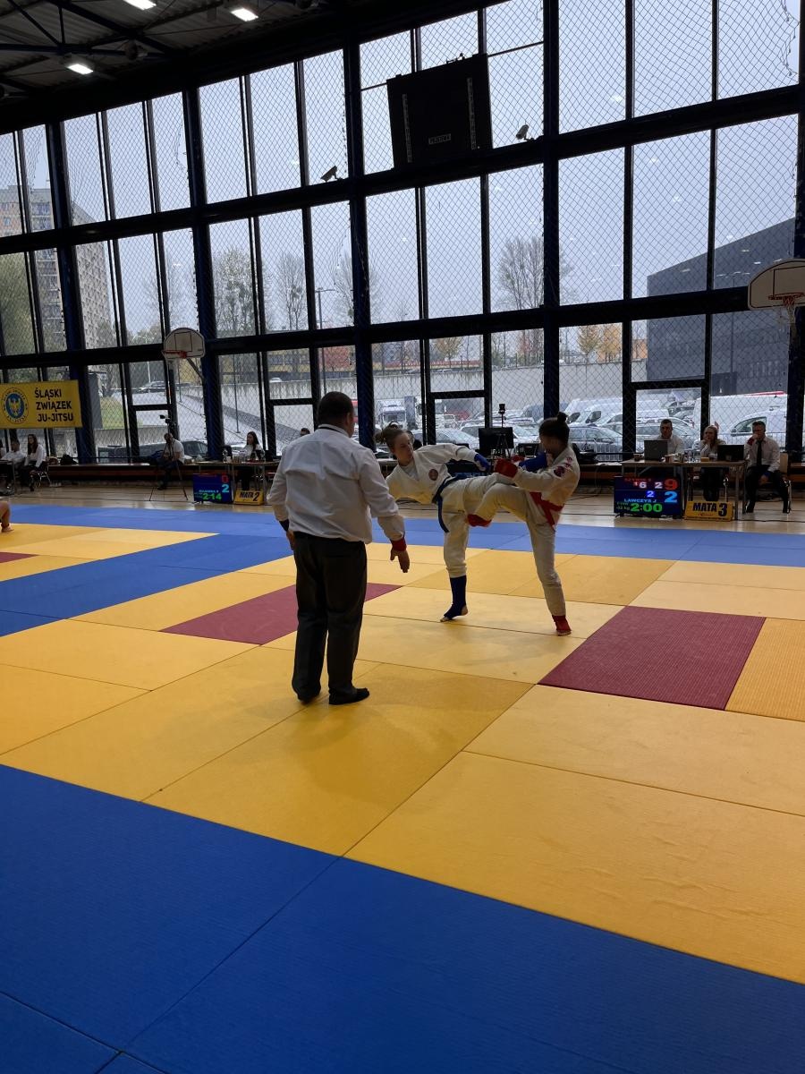 Zdjęcie w galerii na portalu naszraciborz.pl: Znakomita postawa zawodników kuźniańskiej Sparty na zawodach w Katowicach wiadomości z regionu