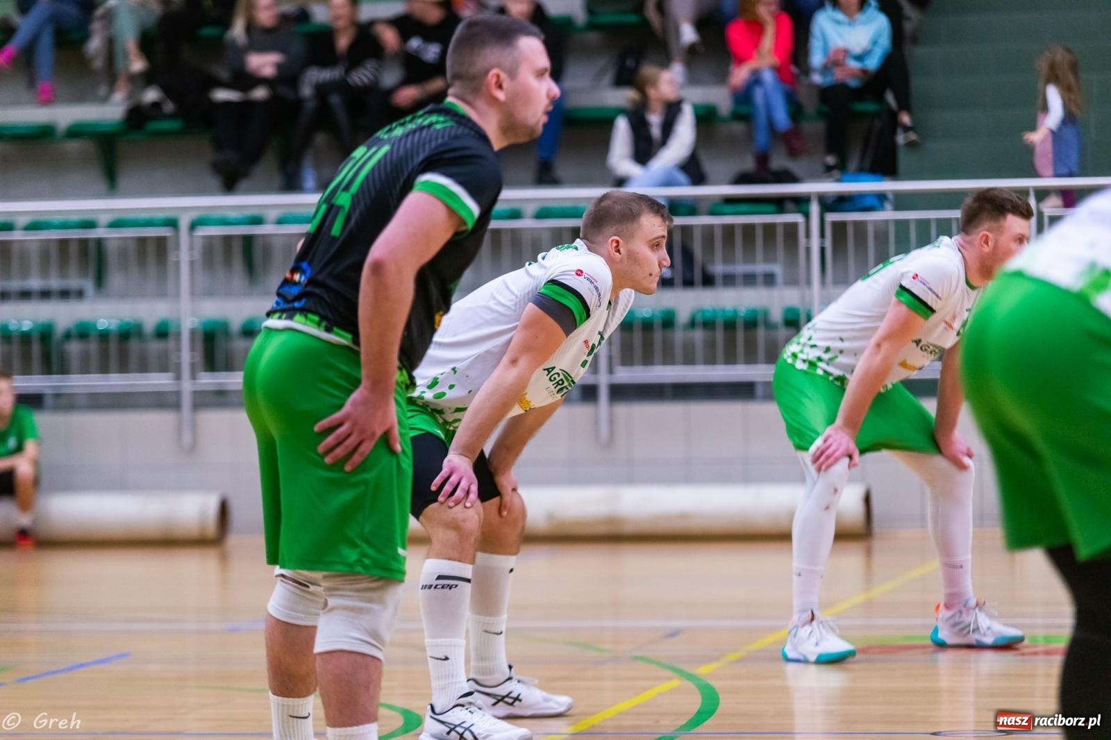 Zdjęcie w galerii na portalu naszraciborz.pl: Siatkówka. Racibórz bez punktów w zaległym meczu [FOTO i WIDEO] wiadomości z regionu