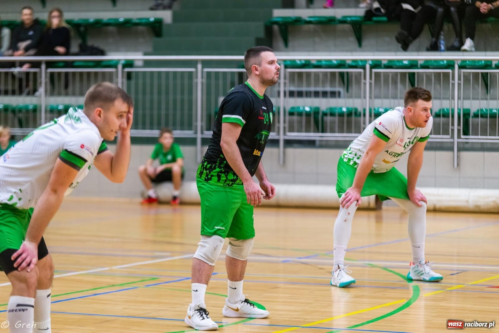 Zdjęcie w galerii na portalu naszraciborz.pl: Siatkówka. Racibórz bez punktów w zaległym meczu [FOTO i WIDEO] wiadomości z regionu
