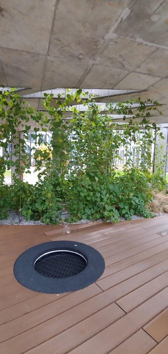 Zdjęcie w galerii na portalu naszraciborz.pl: Pierwsze spotkanie w ramach Partnerskiej Inicjatywy Miast Alumni wiadomości z regionu