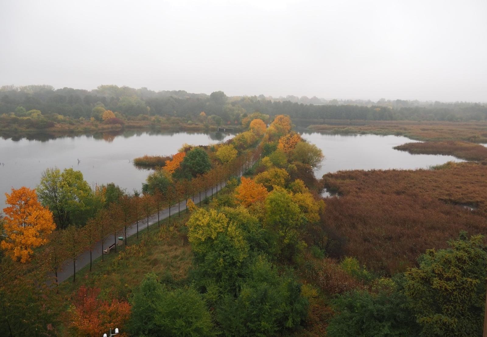 Zdjęcie w galerii na portalu naszraciborz.pl: Pierwsze spotkanie w ramach Partnerskiej Inicjatywy Miast Alumni wiadomości z regionu