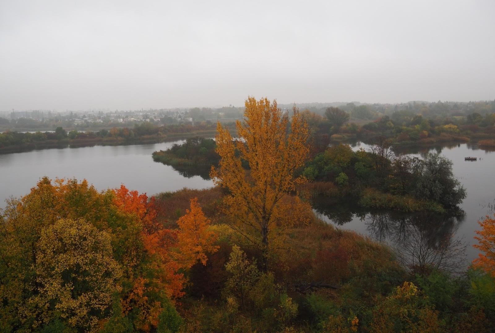 Zdjęcie w galerii na portalu naszraciborz.pl: Pierwsze spotkanie w ramach Partnerskiej Inicjatywy Miast Alumni wiadomości z regionu