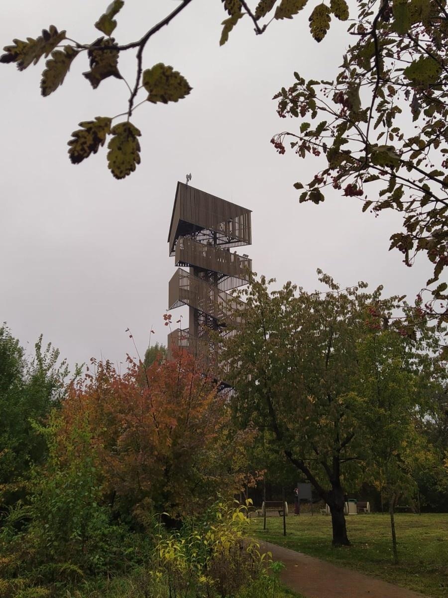 Zdjęcie w galerii na portalu naszraciborz.pl: Pierwsze spotkanie w ramach Partnerskiej Inicjatywy Miast Alumni wiadomości z regionu